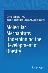 Abbildung von: Molecular Mechanisms Underpinning the Development of Obesity - Springer