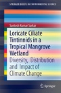 Bild: Loricate Ciliate Tintinnids in a Tropical Mangrove Wetland - Springer