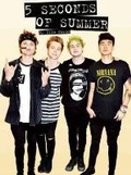 Cover: 5 Seconds of Summer - Plexus Publishing Ltd