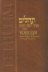 Enlarge image Cover: Tehillim with English - Paperb - Kehot Publication Society