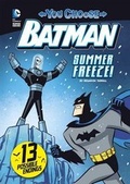 Cover: Summer Freeze! - Stone Arch Books