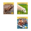 Cover: What Animals Eat - Heinemann Educational Books