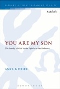 Cover: You Are My Son - T.& T.Clark Ltd