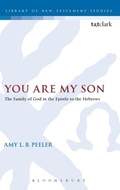 Cover: You Are My Son - Continuum International Publishing Group Ltd.