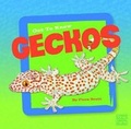 Cover: Geckos - Capstone Press