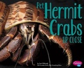 Cover: Pet Hermit Crabs Up Close - Capstone Press