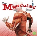 Cover: Your Body Systems Your Muscular System Works - Capstone Press