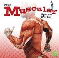 Enlarge image Cover: Your Body Systems Your Muscular System Works - Capstone Press
