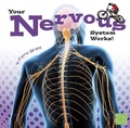 Cover: Your Body Systems Your Nervous System Works - Capstone Press
