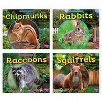 Enlarge image Cover: Backyard Animals - Capstone Press