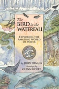 Cover: The Bird in the Waterfall - Dca, Inc.
