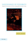 Cover: Shockwaves of Possibility - Peter Lang Verlag