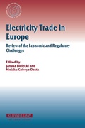 Abbildung von: Electricity Trade in Europe Review of the Economic and Regulatory Changes - Kluwer Law International