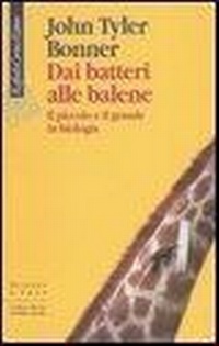 Abbildung von: Dai batteri alle balene. Il piccolo e il grande in biologia - Scienza e idee;Raffaello Cortina Editore