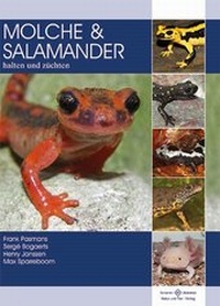 Abbildung von: Molche und Salamander - Natur und Tier
