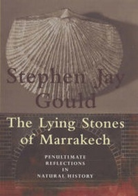 Abbildung von: The Lying Stones Of Marrakech - Jonathan Cape Ltd