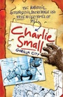 Cover: Charlie Small - David Fickling Books