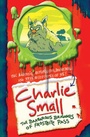 Cover: Charlie Small - David Fickling Books