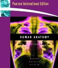 Cover: Human Anatomy - Pearson