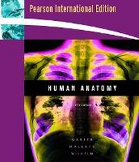 Enlarge image Cover: Human Anatomy - Pearson