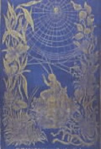 Abbildung von: Victorian Decorated Trade Bindings 1830-1880 - The British Library Publishing Division