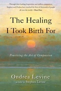 Cover: Healing I Took Birth for - Red Wheel/Weiser