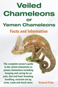 Abbildung von: Veiled Chameleons or Yemen Chameleons - Presspigs