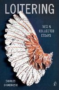 Enlarge image Cover: Loitering - The Text Publishing Company