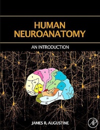 Abbildung von: Human Neuroanatomy - Academic Press