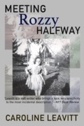 Cover: Meeting Rozzy Halfway - Dzanc Books