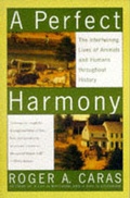 Cover: A Perfect Harmony - Simon & Schuster Ltd