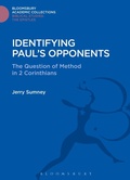 Cover: Identifying Paul's Opponents - Bloomsbury Academic