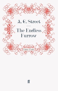 Enlarge image Cover: The Endless Furrow - Faber & Faber