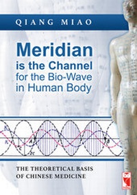 Abbildung von: Meridian is the Channel for the Bio-Wave in Human Body - Frieling & Huffmann