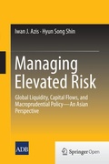 Cover: Managing Elevated Risk - Springer