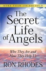 Cover: Secret Life of Angels - Harvest House Publishers