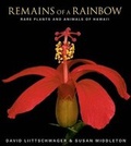 Cover: Remains of a Rainbow - National Geographic Books