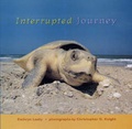 Cover: Interrupted Journey - Candlewick Press,U.S.