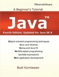 Cover: Java - Brainy Software