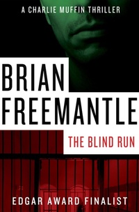 Enlarge image Cover: The Blind Run - Open Road Media Mystery & Thriller