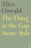 Cover: The Thing in the Gap Stone Stile - Faber & Faber