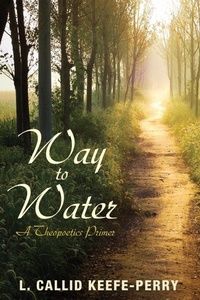 Enlarge image Cover: Way to Water - Wipf and Stock Publishers