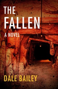 Enlarge image Cover: The Fallen - Open Road Media