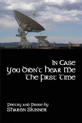 Cover: In Case You Didn't Hear Me the First Time - Brick Cave Books
