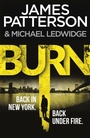 Cover: Burn - Arrow Books Ltd