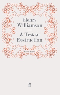 Enlarge image Cover: A Test to Destruction - Faber & Faber