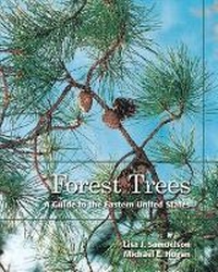Enlarge image Cover: Forest Trees - Pearson