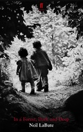 Cover: In a Forest, Dark and Deep - Faber & Faber