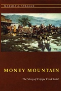 Cover: Money Mountain - Bison Books