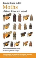 Cover: Concise Guide to the Moths of Great Britain and Ireland - British Wildlife Publishing Ltd